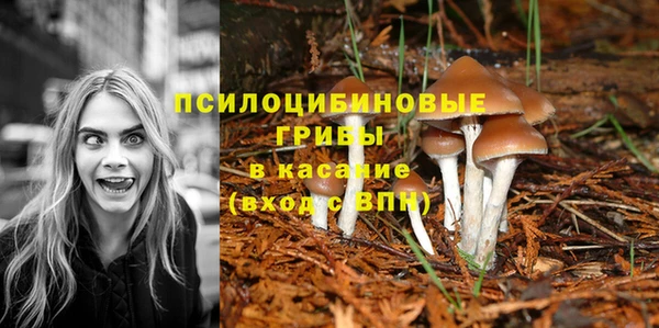 метадон Алзамай
