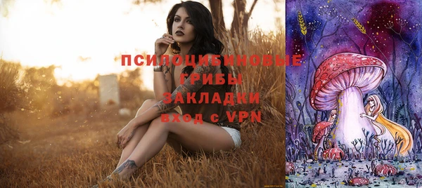 бошки Алексеевка