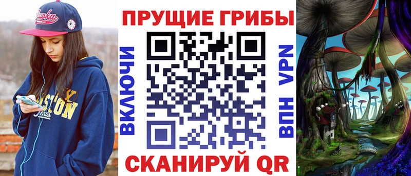 Галлюциногенные грибы Psilocybe  Коркино 