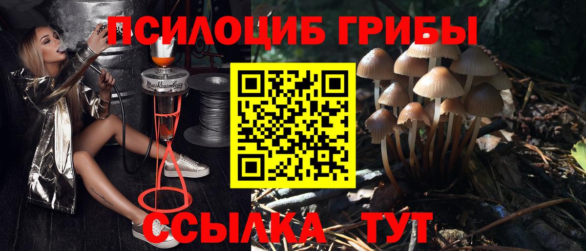 Коркино  Галлюциногенные грибы Psilocybe  Вход с VPN 